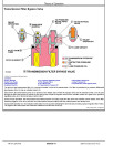 BELL B30C Articulated Dump Trucks Operation and Test Manual (TM1813)