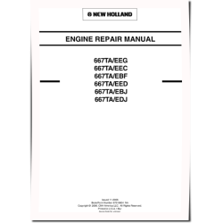 667TA/EBF, 667TA/EBJ, 667TA/EDJ, 667TA/EEC, 667TA/EED and 667TA/EEG Diesel Engines (North America) Repair Manual (87519804NA)