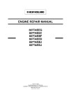 CNH 667TA/EBF, 667TA/EBJ, 667TA/EDJ, 667TA/EEC, 667TA/EED and 667TA/EEG Diesel Engines (North America) Repair Manual (87519804NA)