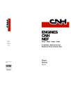 CNH F4CE9484, F4DE9484, F4GE9484 and F4HE9484 Tier 3 Diesel Engines Repair Manual (87659057A)