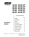 Fiat 45-66, 55-66, 60-66, 65-66, 70-66, 80-66 (DT, F, DTF, -LP) Tractors Workshop Manual (06910069)
