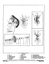 Fiat-Allis 745 and 745H Wheeled Loaders Service Manual (73058628)