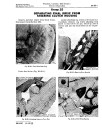 John Deere 2010 (SN: 042001-) Crawler Tractors Service Manual (sm2037)
